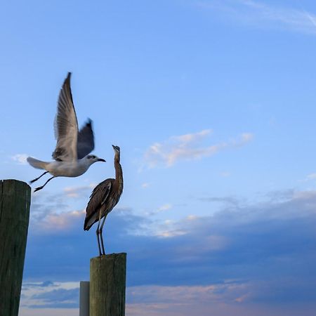 Forest Beach Villas Hilton Head Island Camera foto